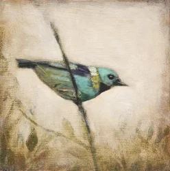 Pájaro de color verde azulado intenso