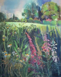 Campo de Verano