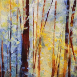 Luz del bosque de ensueño