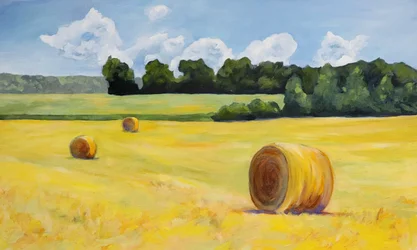 Campo de heno dorado