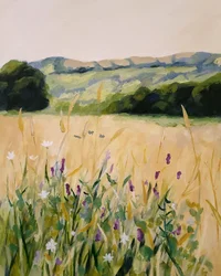 Colinas de campos de flores silvestres