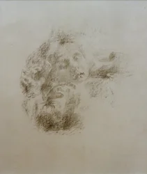 Cabeza de un niño dormido