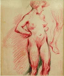 Desnudo femenino de pie
