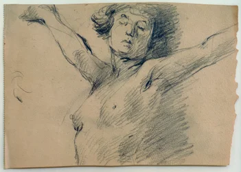 Desnudo femenino, medio cuerpo