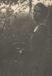 Borde del bosque, tarde, 1900