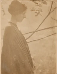 Luz del sol