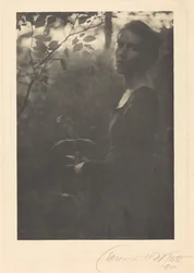 Edge of the Woods, atardecer,1900 (foto)
