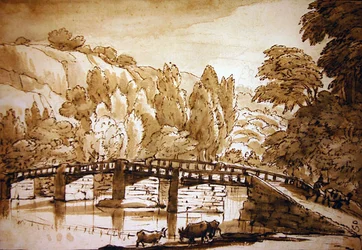 Paisaje boscoso