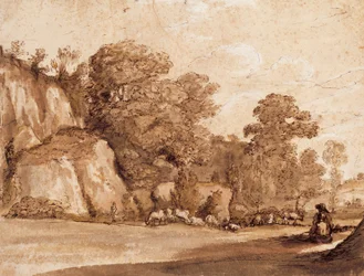 Una ladera rocosa