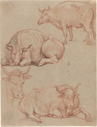Cuatro Vacas