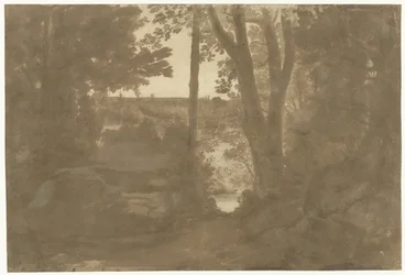 Paisaje con vista a través de los árboles
