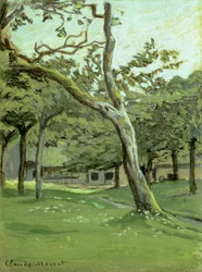 Un huerto
