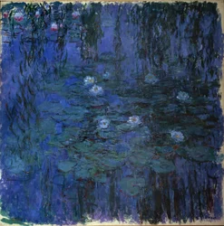 Nenúfar azul
