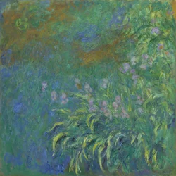 Iris, 1914