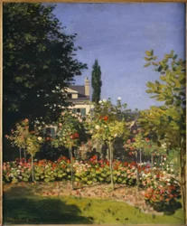 Jardín en flores