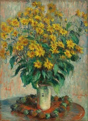 Flores de alcachofa de Jerusalén, 1880