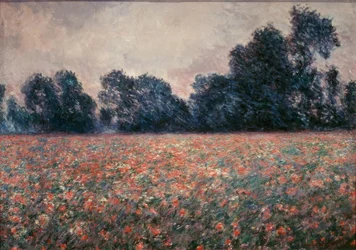Las amapolas en Giverny