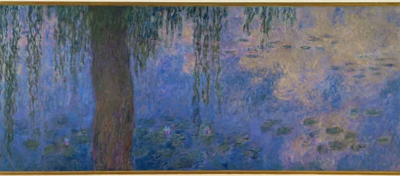 Les Nympheas: le matin aux saules (óleo sobre lienzo)