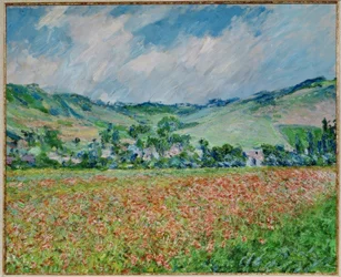 Campo de amapolas