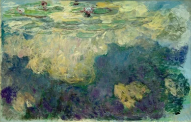 Nenúfares