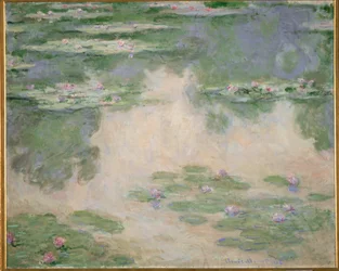 Nympheas (óleo sobre lienzo)