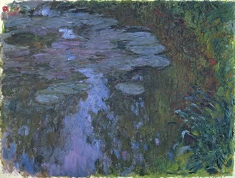 Nenúfares