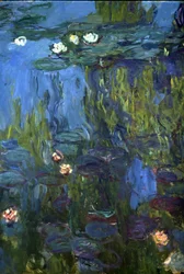 Nenúfares, 1914-17