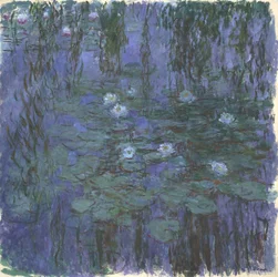 Nenúfares azules