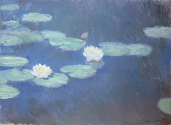 Ninfeas, c.1916-19 (óleo sobre lienzo)