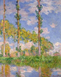 Álamos al sol