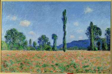 Campo de amapolas,1890 (óleo sobre lienzo)
