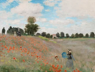Campo de amapolas, 1873