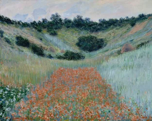 Campo de amapolas en una hondonada cerca de Giverny