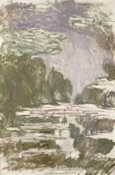 Estudio para los Nenúfares, 1907