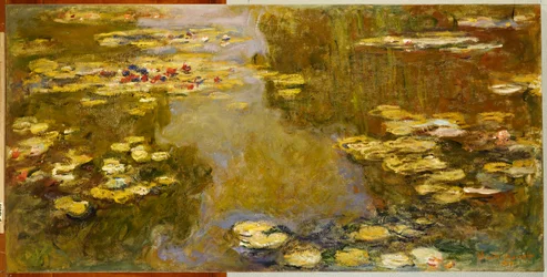 El estanque de lirios