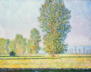 El prado de Limetz