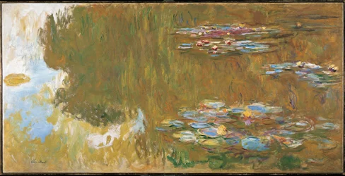 El estanque de los nenúfares, c.1917-19 (óleo sobre lienzo)