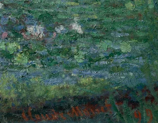El estanque de los nenúfares: Armonía verde