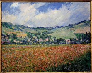 El campo de amapolas