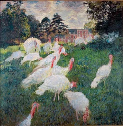 Pavos
