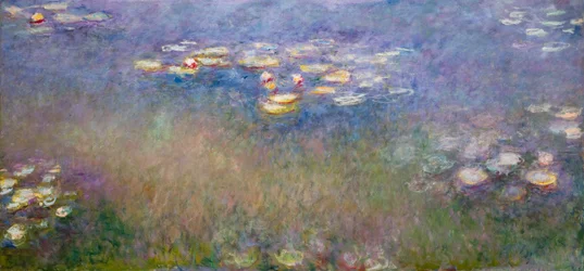 Nenúfares (Agapanthus) c.1915-26 (óleo sobre lienzo)