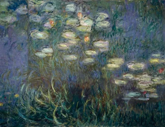 Nenúfares (detalle) (óleo sobre lienzo)