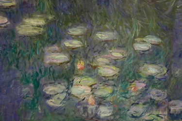 Nenúfares (óleo sobre lienzo)