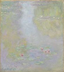 Nenúfares