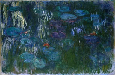 Nenúfares, 1916-19