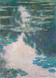 Nenúfares, tiempo gris