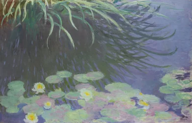 Nenúfares con reflejos de hierba alta, 1914-1917