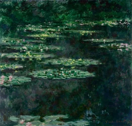 Nenúfares