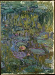 Nenúfares