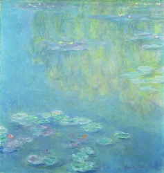 Nenúfares, 1906